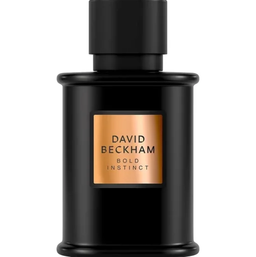 Bold Instinct woda perfumowana spray 50ml