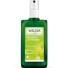 Dezodorant z cytrusami 100 ml