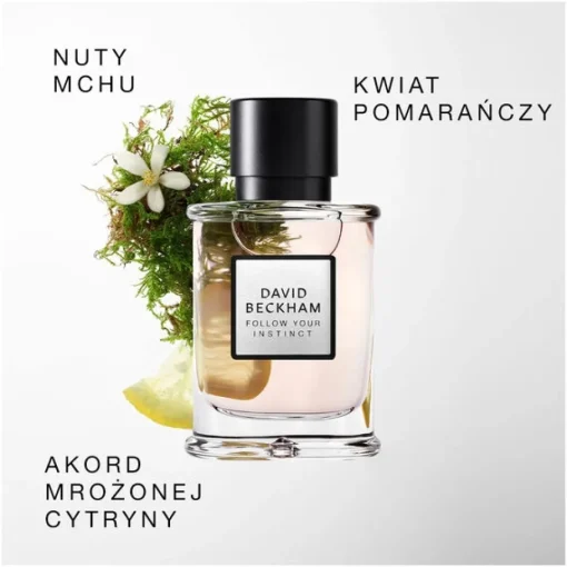 Follow Your Instinct woda perfumowana spray 50ml