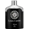 Silver Homme woda perfumowana spray 100ml