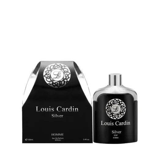 Silver Homme woda perfumowana spray 100ml