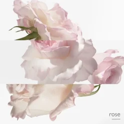 Twilly D'Hermes Eau Poivree woda perfumowana spray 30ml