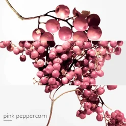 Twilly D'Hermes Eau Poivree woda perfumowana spray 30ml